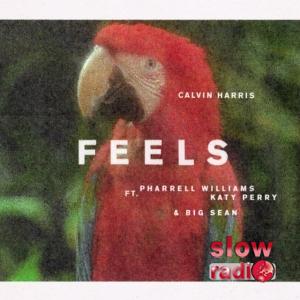 Calvin Harris - Feels